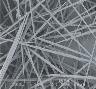 Oxalate Basics (Free)