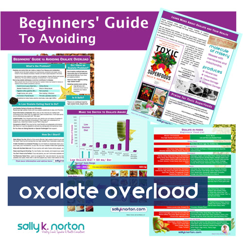 A preview collage for a digital or printed guide titled 'Beginner's Guide To Avoiding oxalate overload' with multiple informational panels, charts, and text blocks. The design uses a purple header, a dark blue banner reading 'oxalate overload,' and a light aqua background.